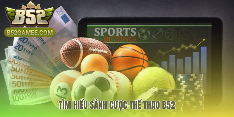 Sảnh cược Thể Thao B52 tái hiện không khí đấu trường sôi động